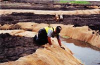 Man stabilizing ground around creek