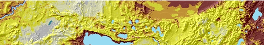 Pine Moraines & Outwash Plains Model